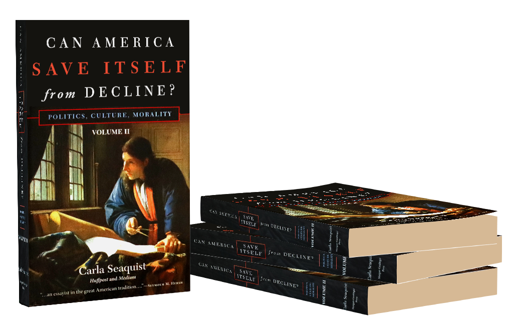 canamericasaveitself_vol11_sides_1024x675 canamericasaveitself_vol11_sides_1024x675